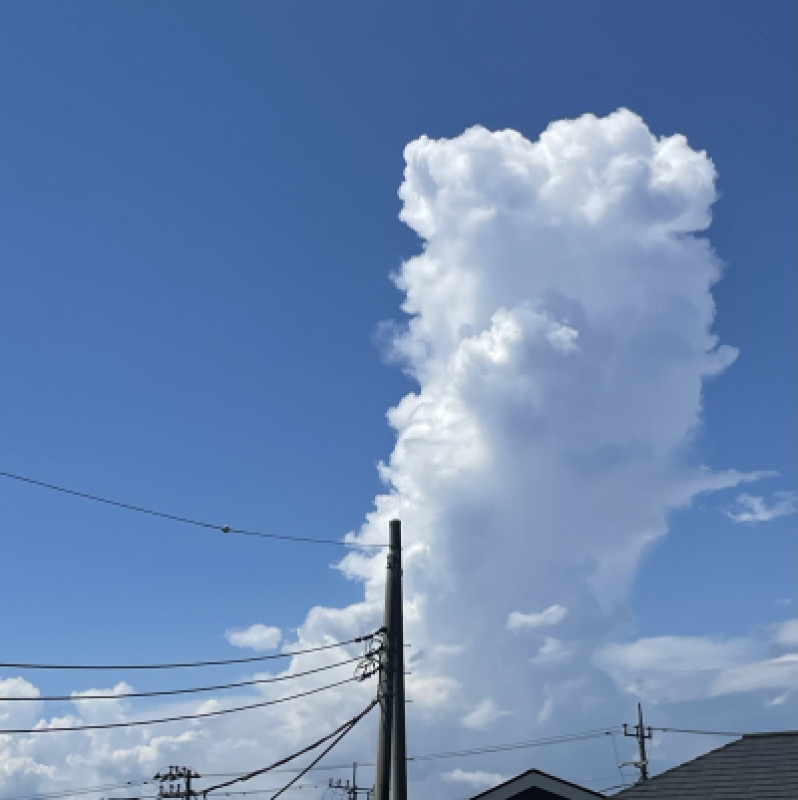 神の織りなす奇跡