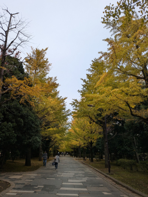 今日は近くの公園を散歩してきました