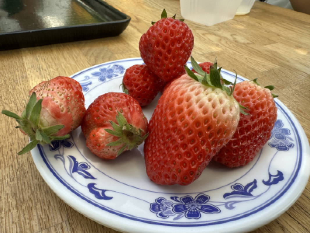 いちご?