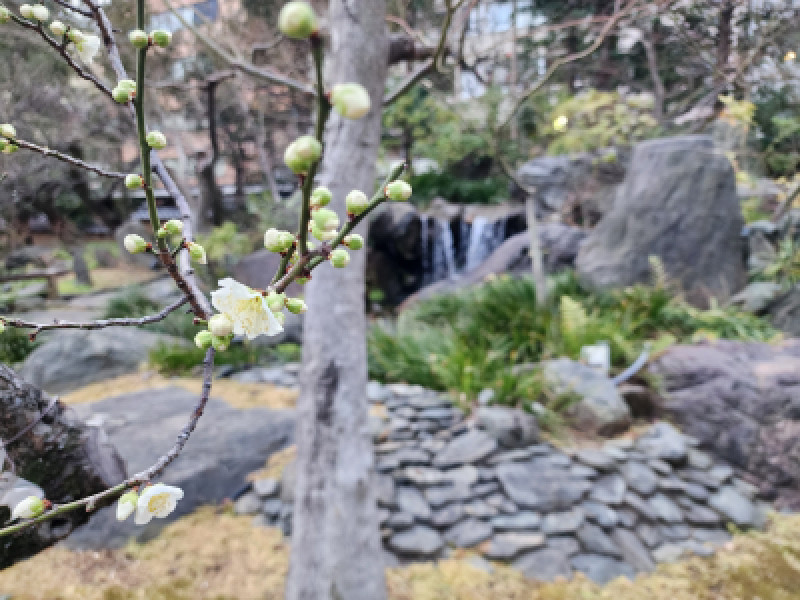 湯島界隈