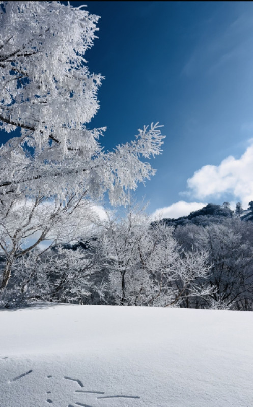 年末のご挨拶　