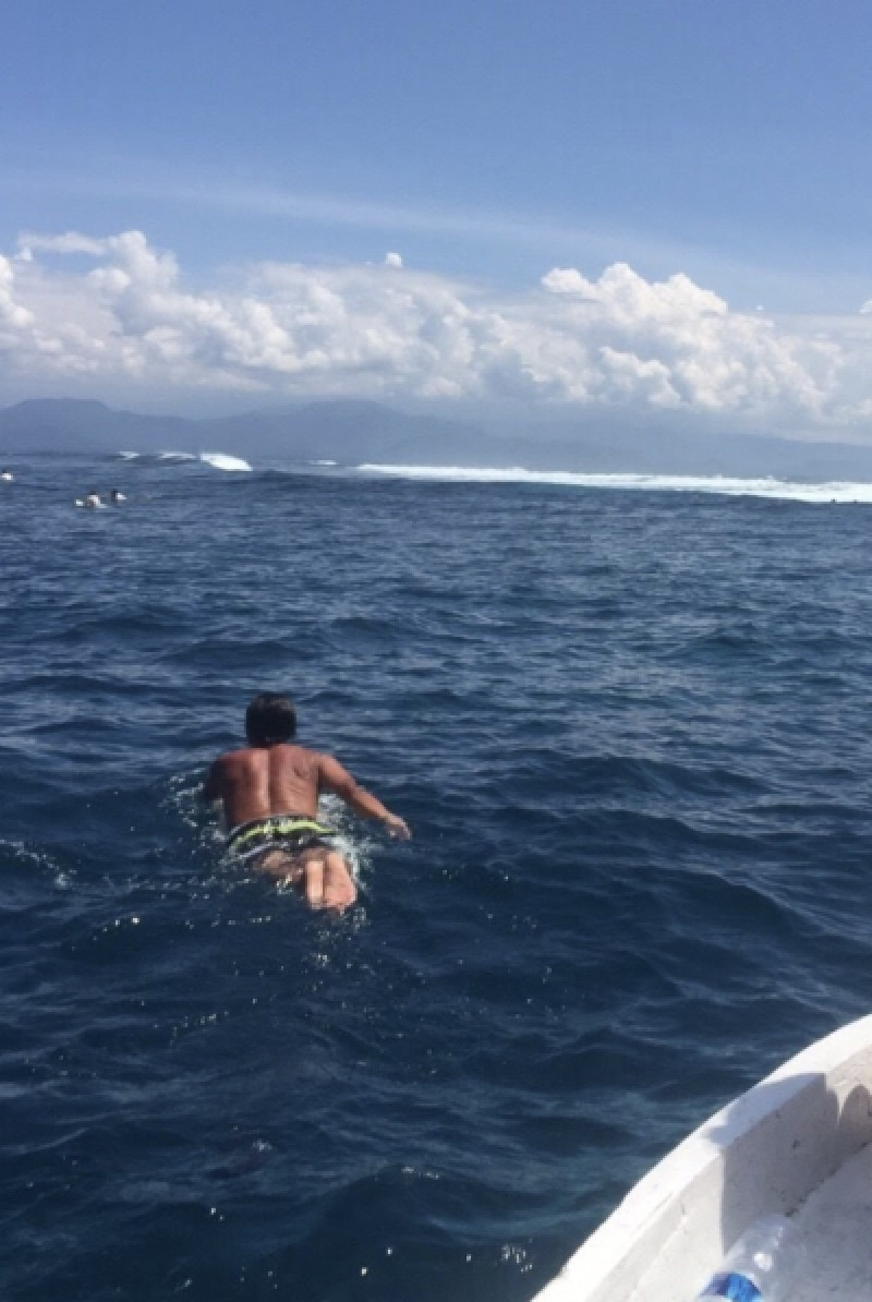 どんな海でも泳ぎます?