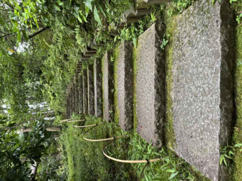 ちょっと気分を変えて、新しい道を歩いてみるのも素敵ですよ