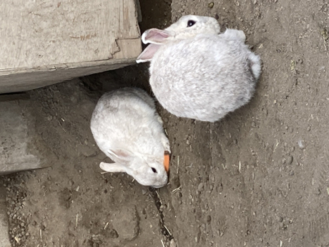中イキ体質になってみたい方いませんか？