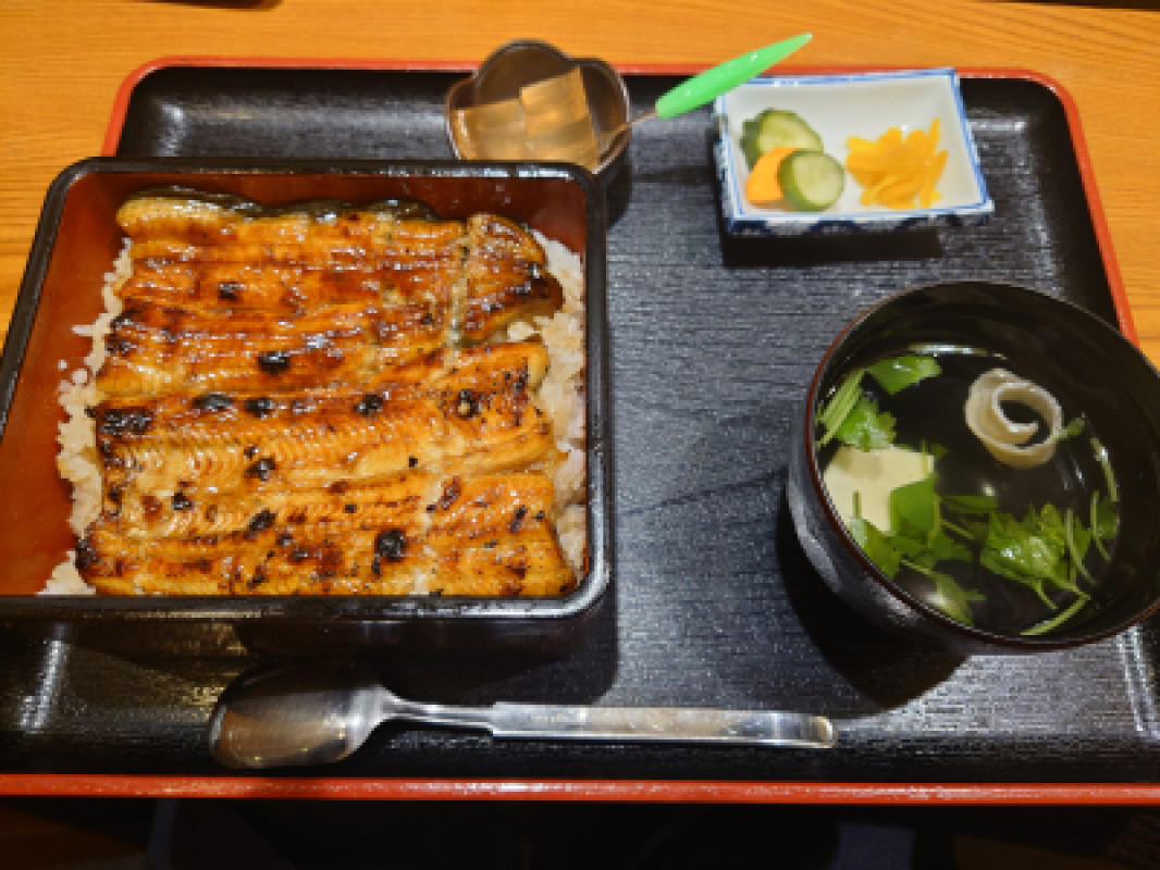うなぎ