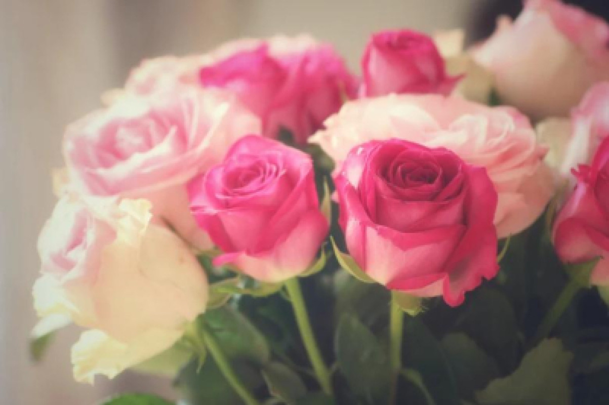 昼と夜と、薔薇の香り