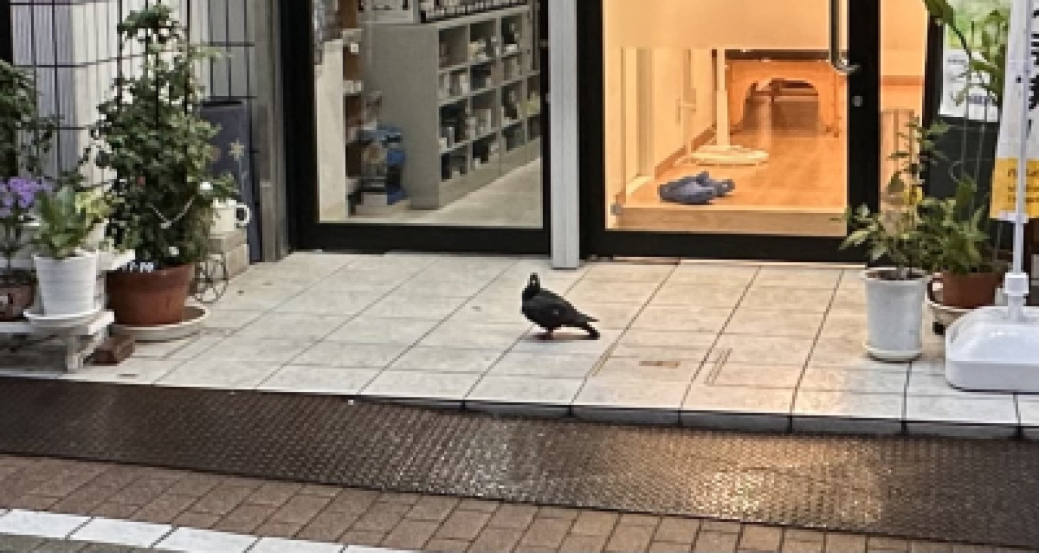 ハート