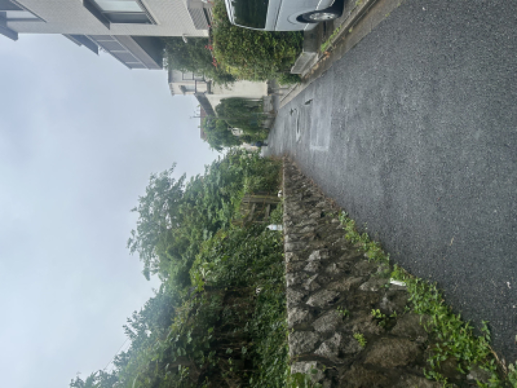 ??雨