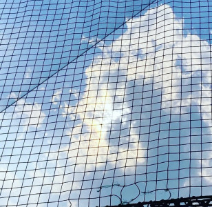 好きなもの⚾️