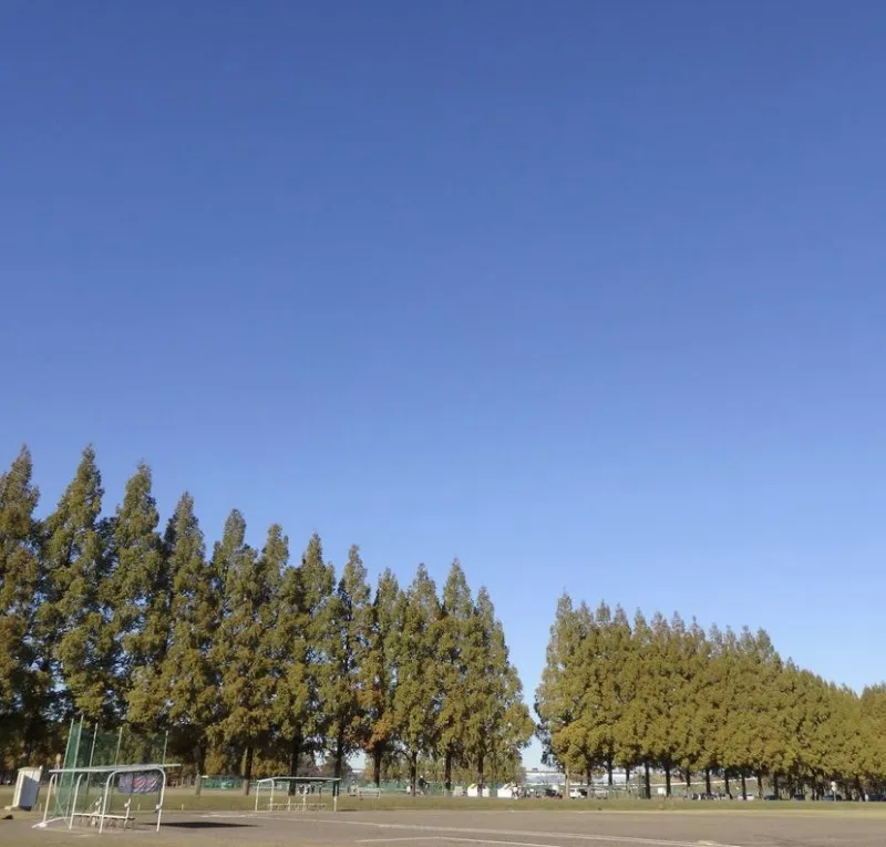 今日は草野球！