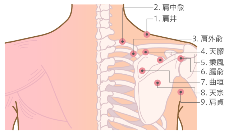 専門家が教える肩こり特集