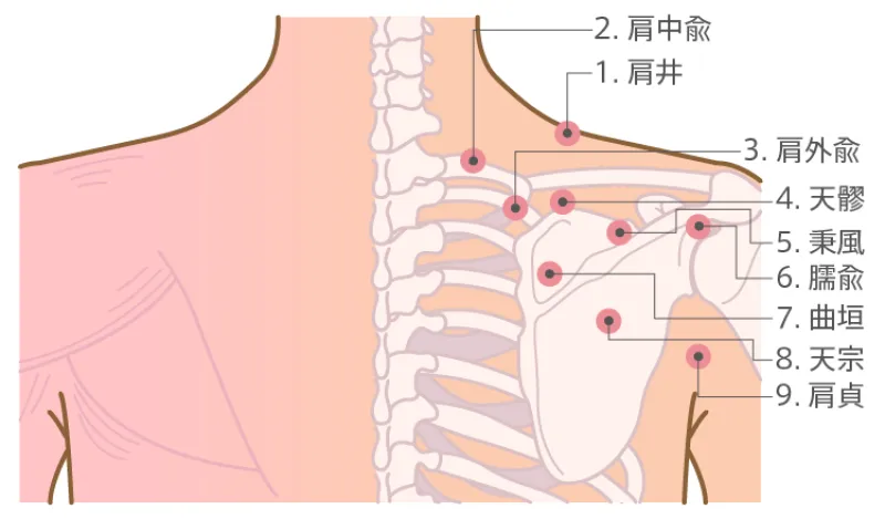 専門家が教える肩こり特集