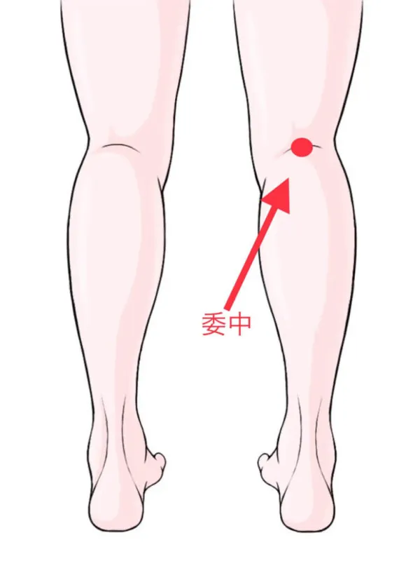 専門家が教える腰痛改善