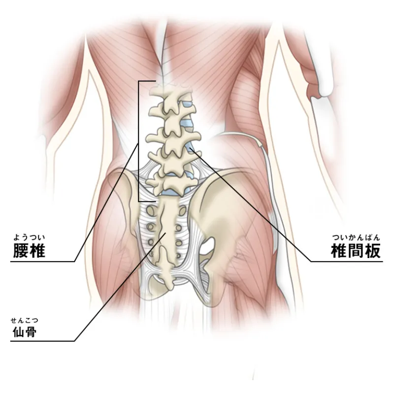 有料級！デスクワークの腰痛で悩んでる方！