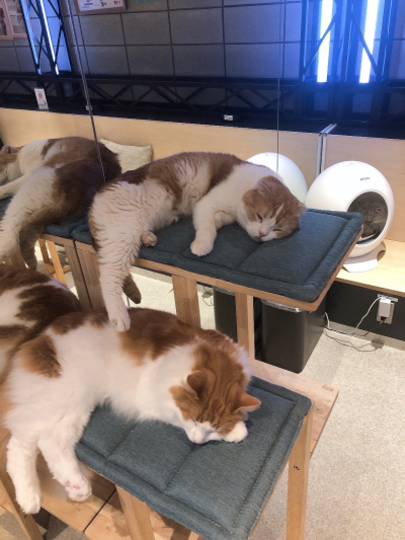 クチコミありがとうございます?