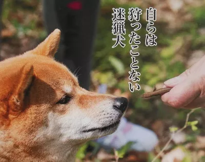 新しい週のスタート