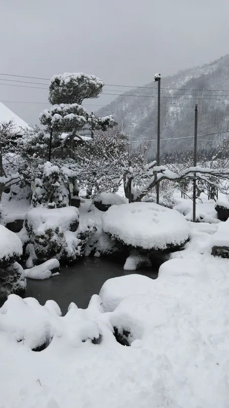 雪だ〜⛄?