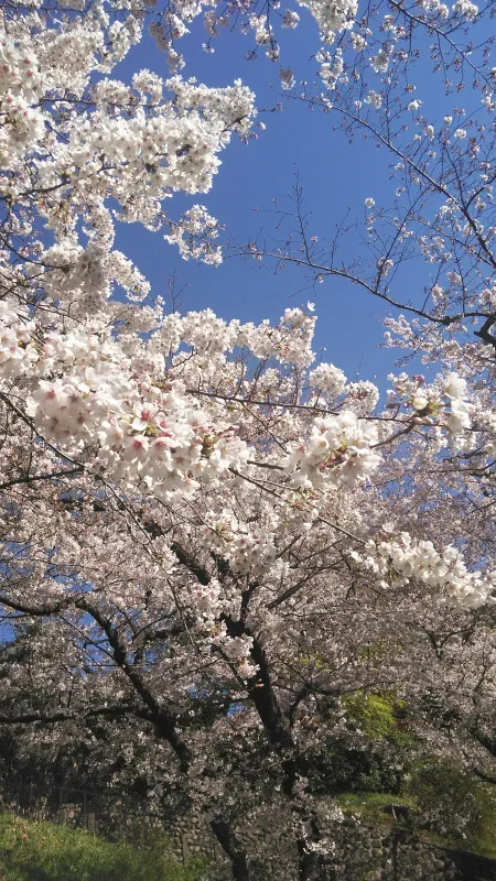 おはようございます☀