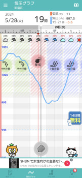 雨だ