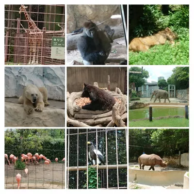 動物園の有名人たち