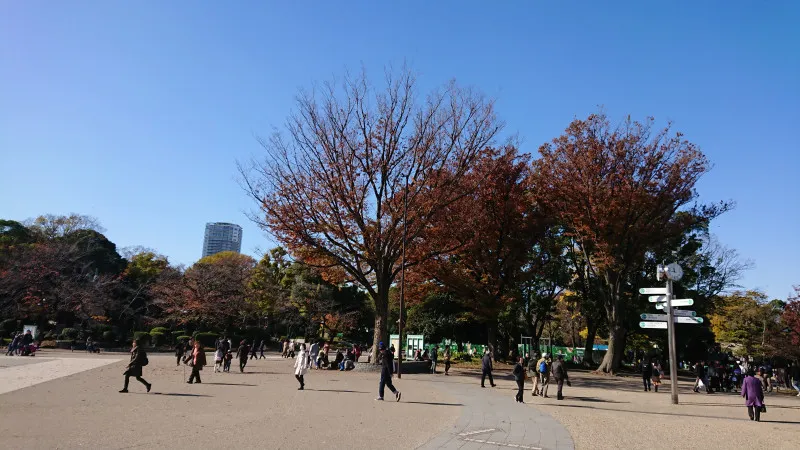 公園?⛲