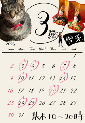 3月の予定です??