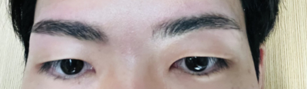眉毛の日