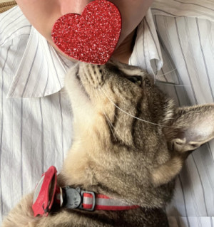 27歳のおじさん
