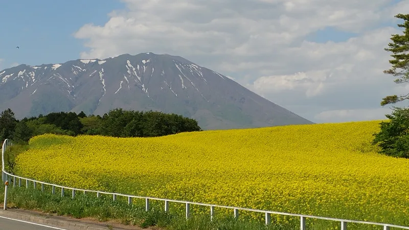 がんばれって❗