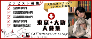 CAT_IMMERSIVE SALONの求人