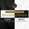 お店(Blooming Flower)