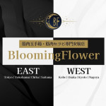 Blooming Flower