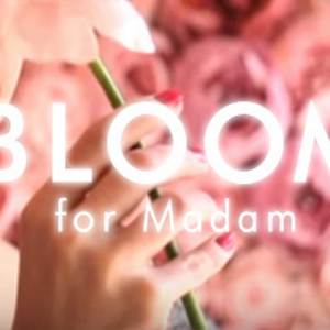 BLOOM for Madam